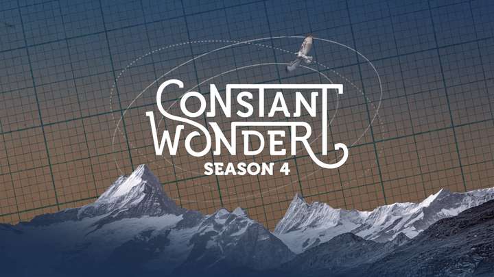 TRAILER: Season 4 of Constant Wonder