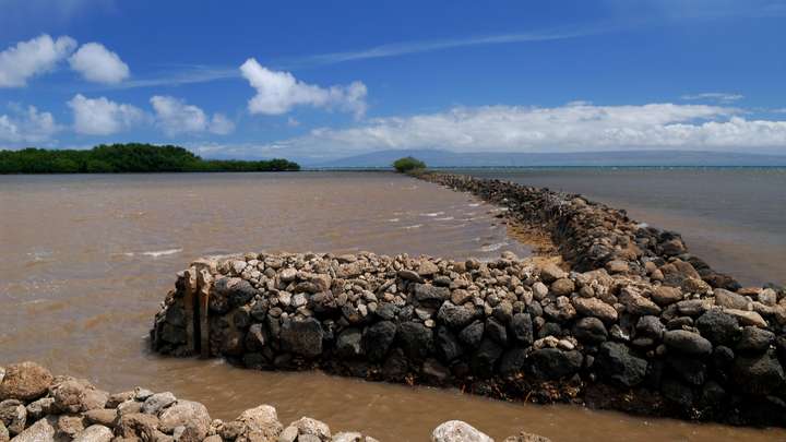 How a 2000-year-old Tradition Could Make Hawaii More Self-sustainable