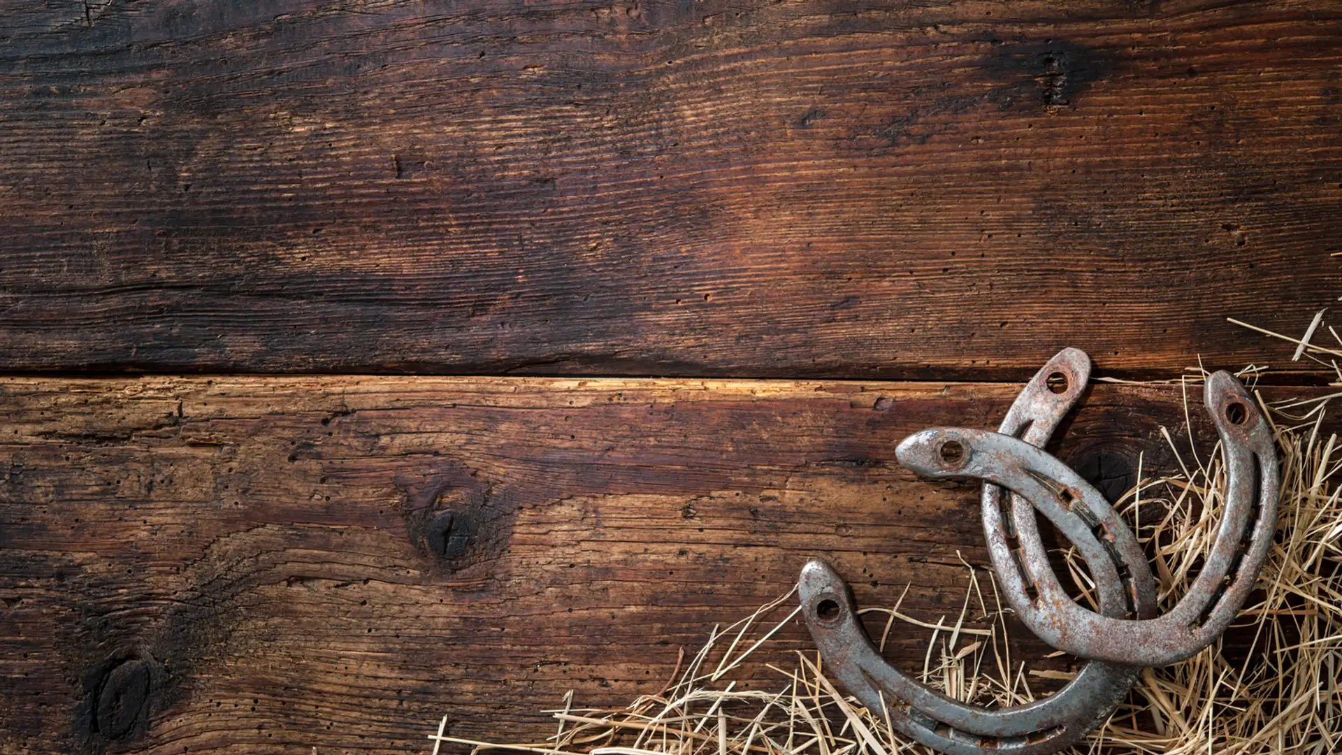 EXTRA: "Blixie Bimber and the Power of the Gold Buckskin Whincher" told by Carol Birch