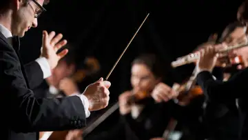 What Are Maestros Really Doing on Stage?