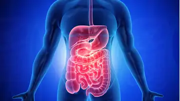 Bringing Back Helpful Gut Worms