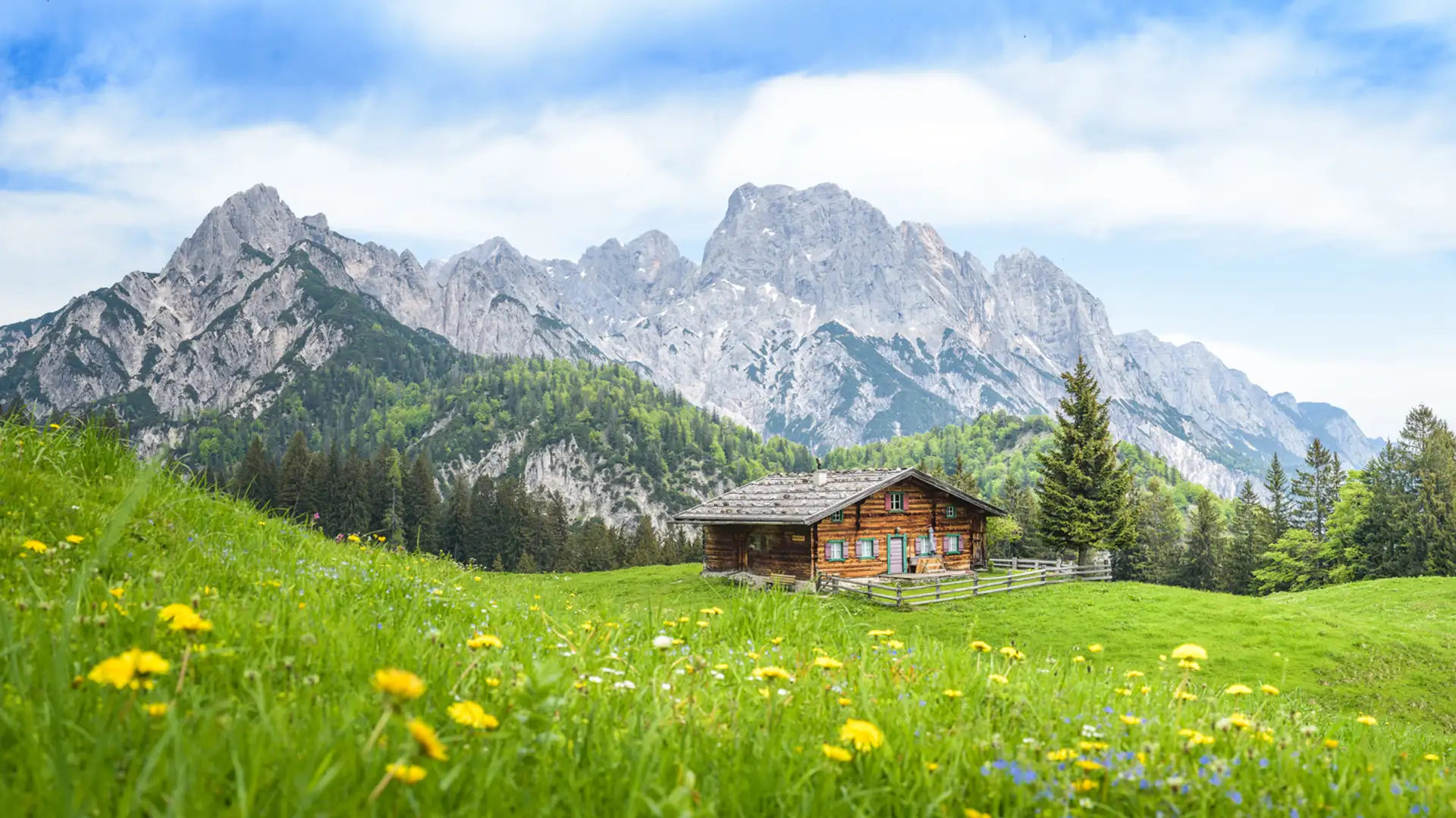 Ballad of Ross and Anna