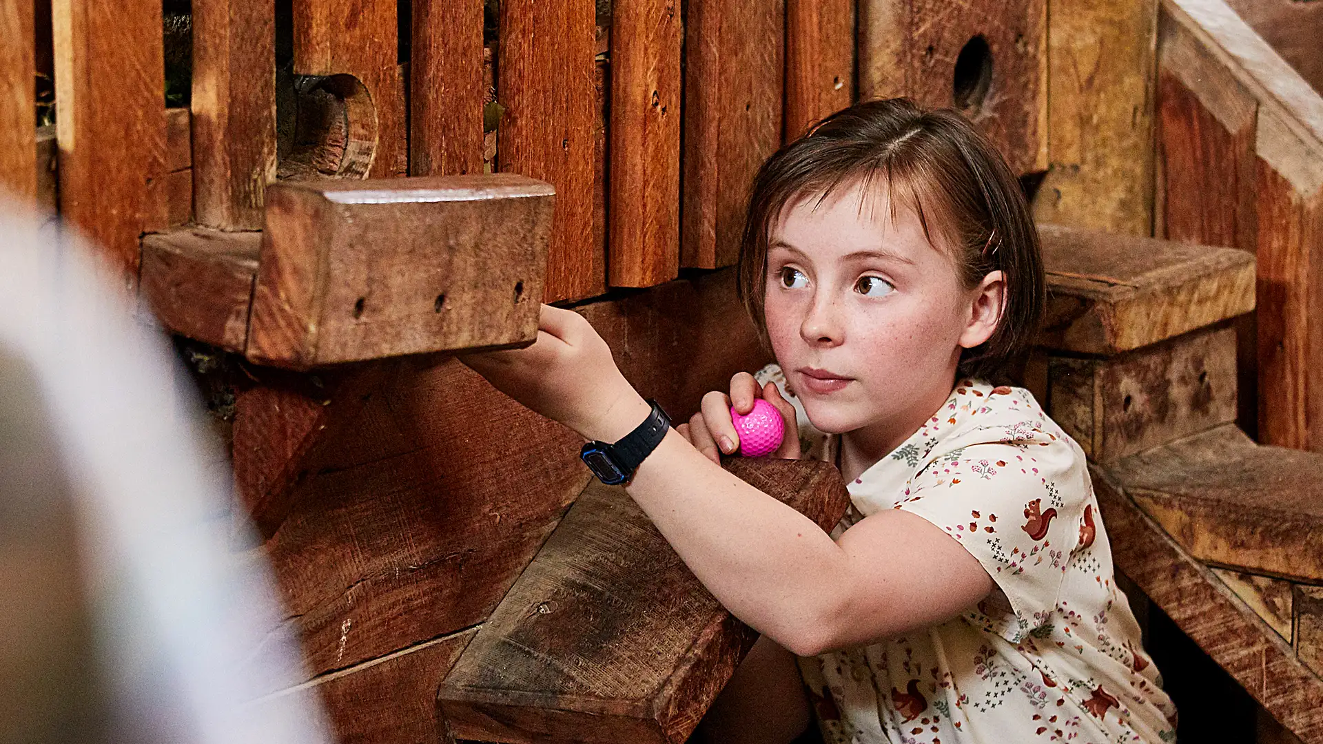 The Case of the Miraculous Mini Golfer/The Case of the Problematic Party