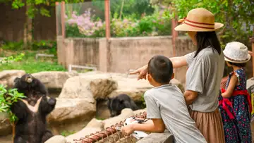 America's Tangled Relationship with Zoos and the "Wild" Animals Within