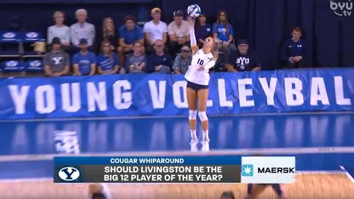 Cougar Whiparound 