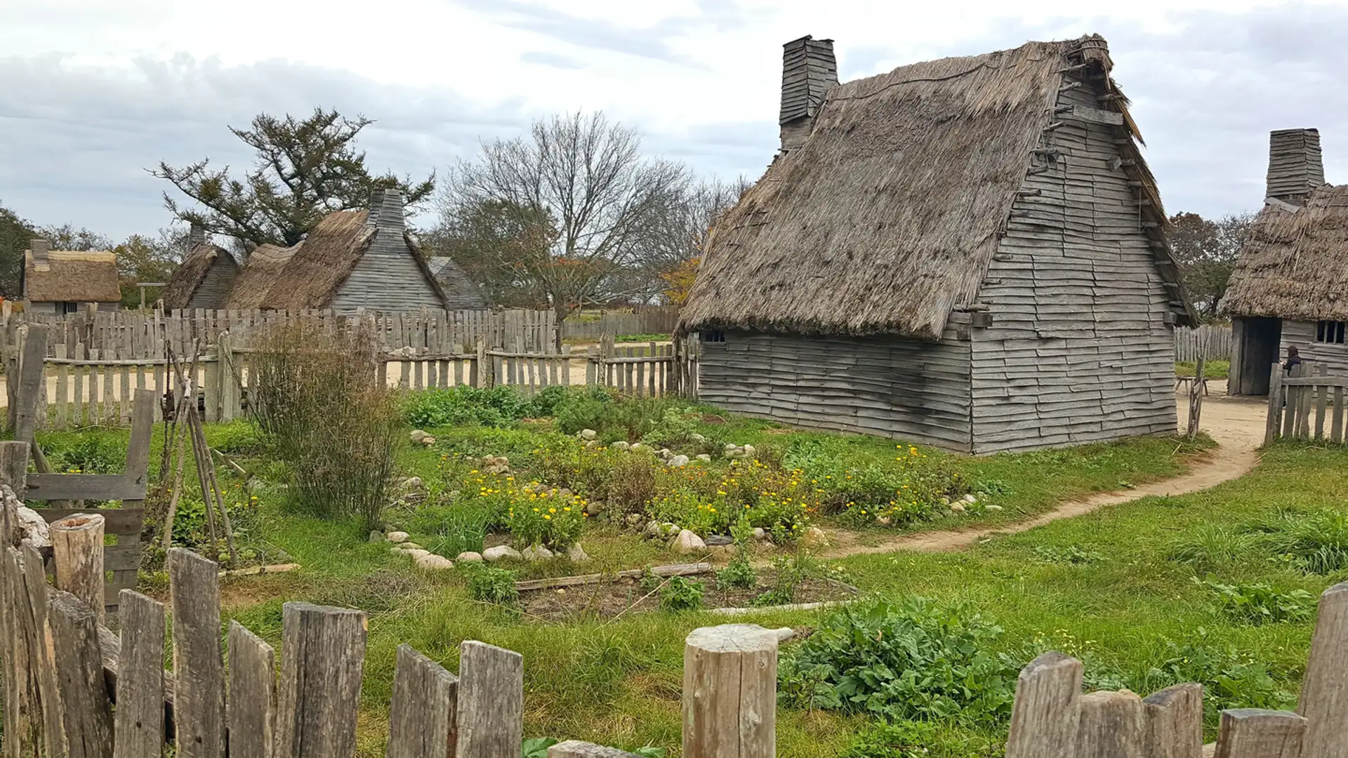 Mayflower Tales