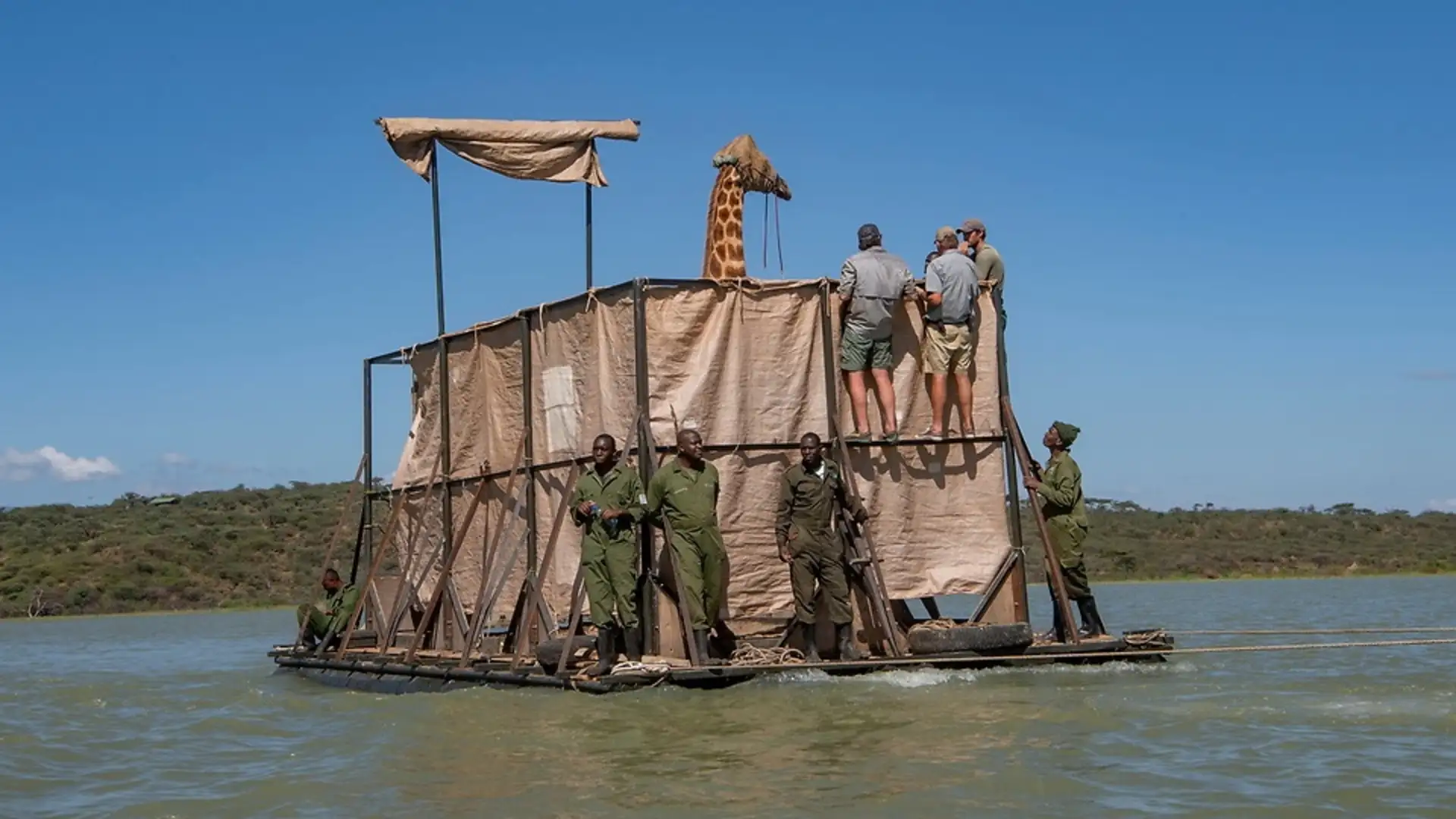 S2 E9: To Rescue an Animal, You've Got to Think Like One