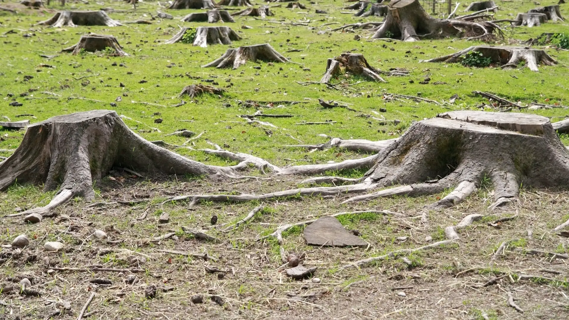 Healthcare & Climate Change