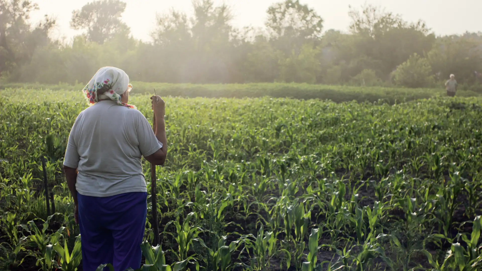 Dancing Granny (Carribean Folktale)