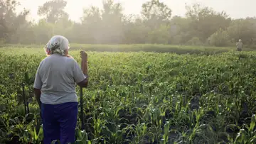 Dancing Granny (Carribean Folktale)