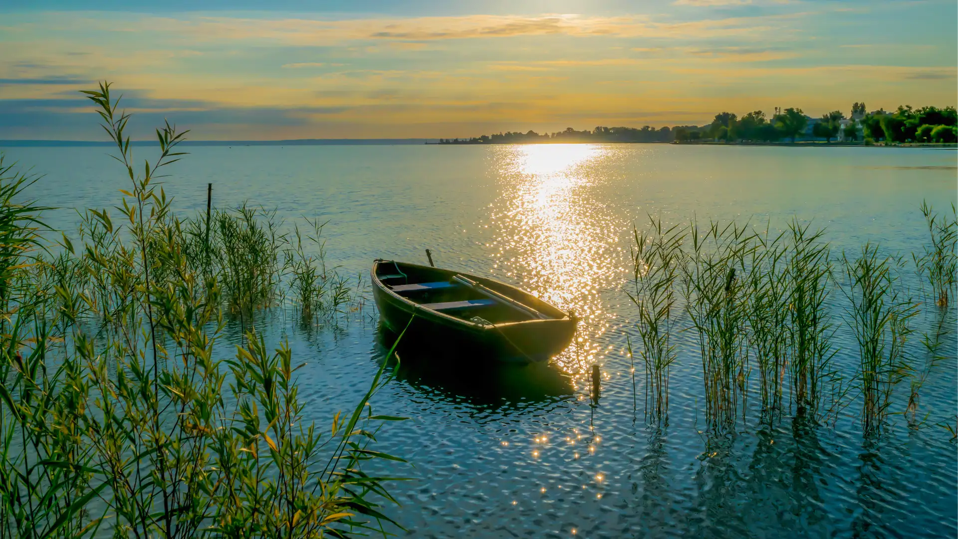 "Wind in the Willows": An Apple Seed Reader's Theater