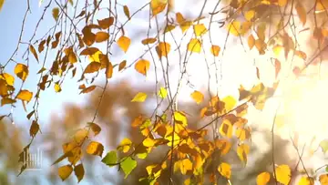 (9-24-23) Daily Care and Keeping
