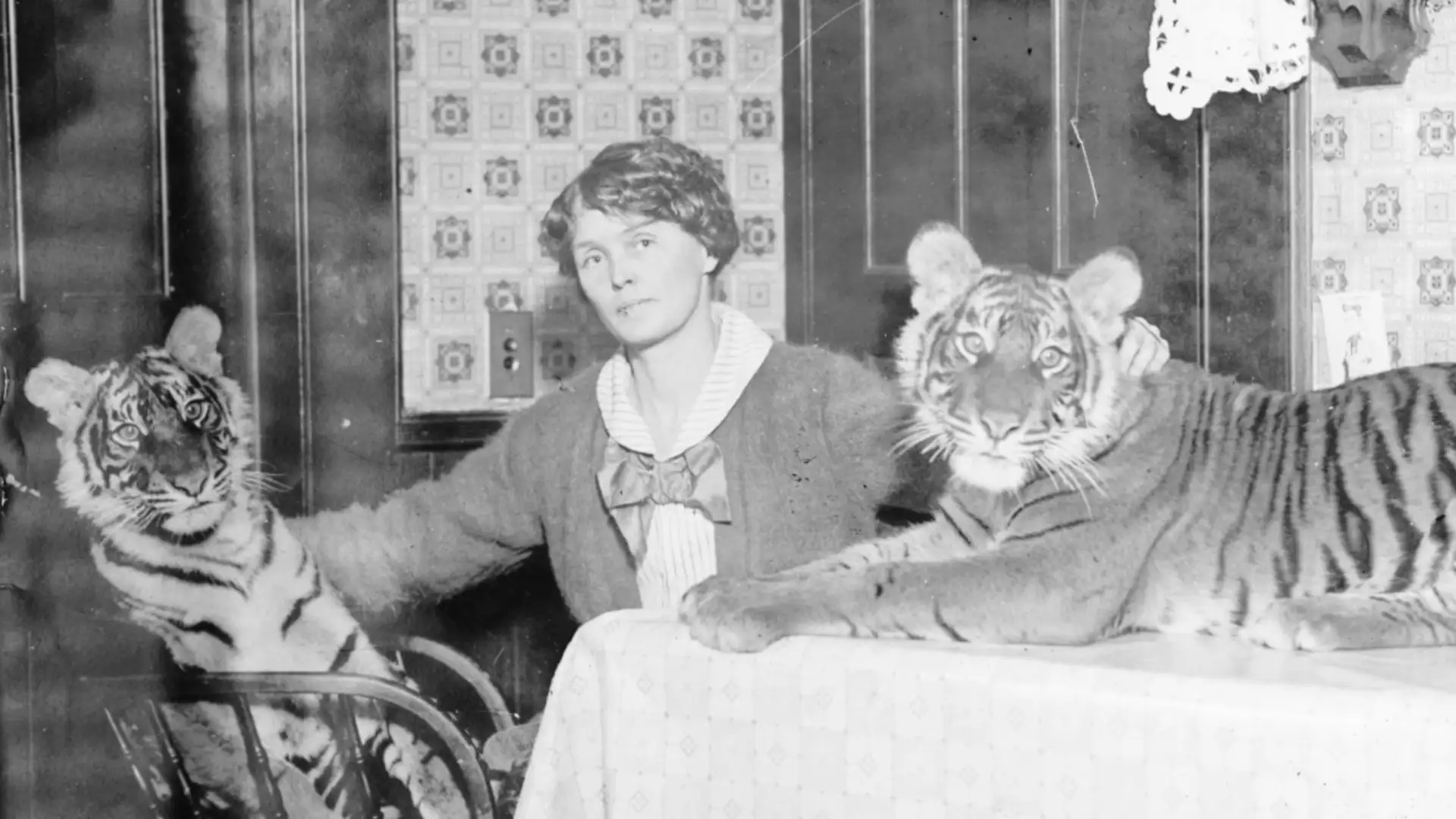 Tiger Queen