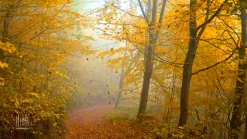 (10-2-22) Daily Devotion