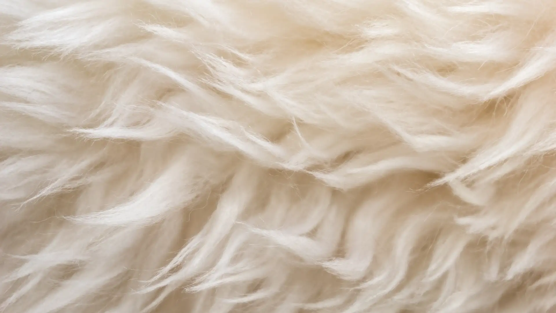 Fly Fishing Rods and Funerary Fabrics