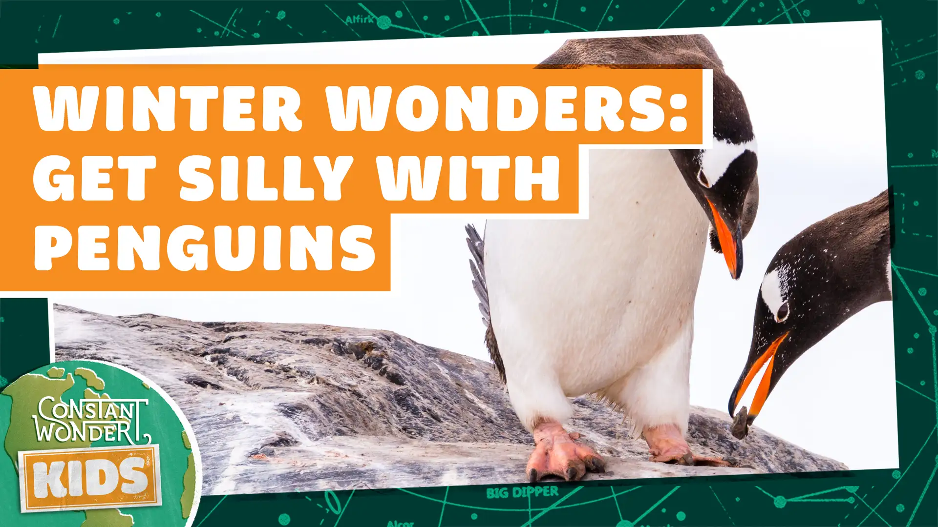 Winter Wonders: Get Silly with Penguins