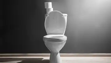Toilet Tech