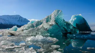 An Unexpected World Beneath the Ice