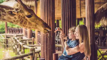Could Art and Close Encounters Motivate Conservation?