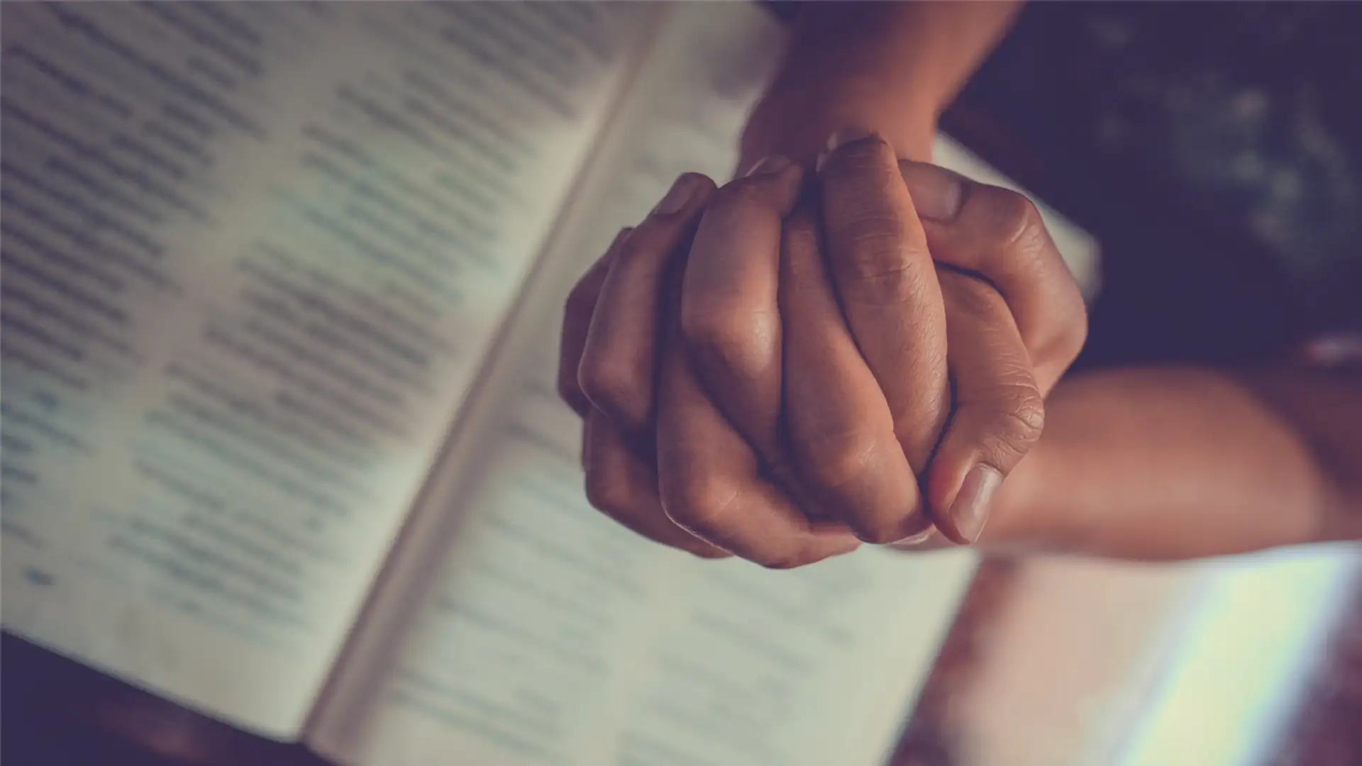 Author Ariane de Bonvoisin