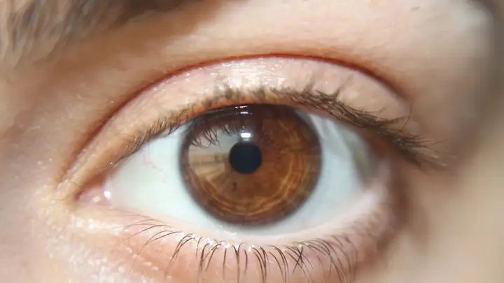 Pupil Size and Intelligence