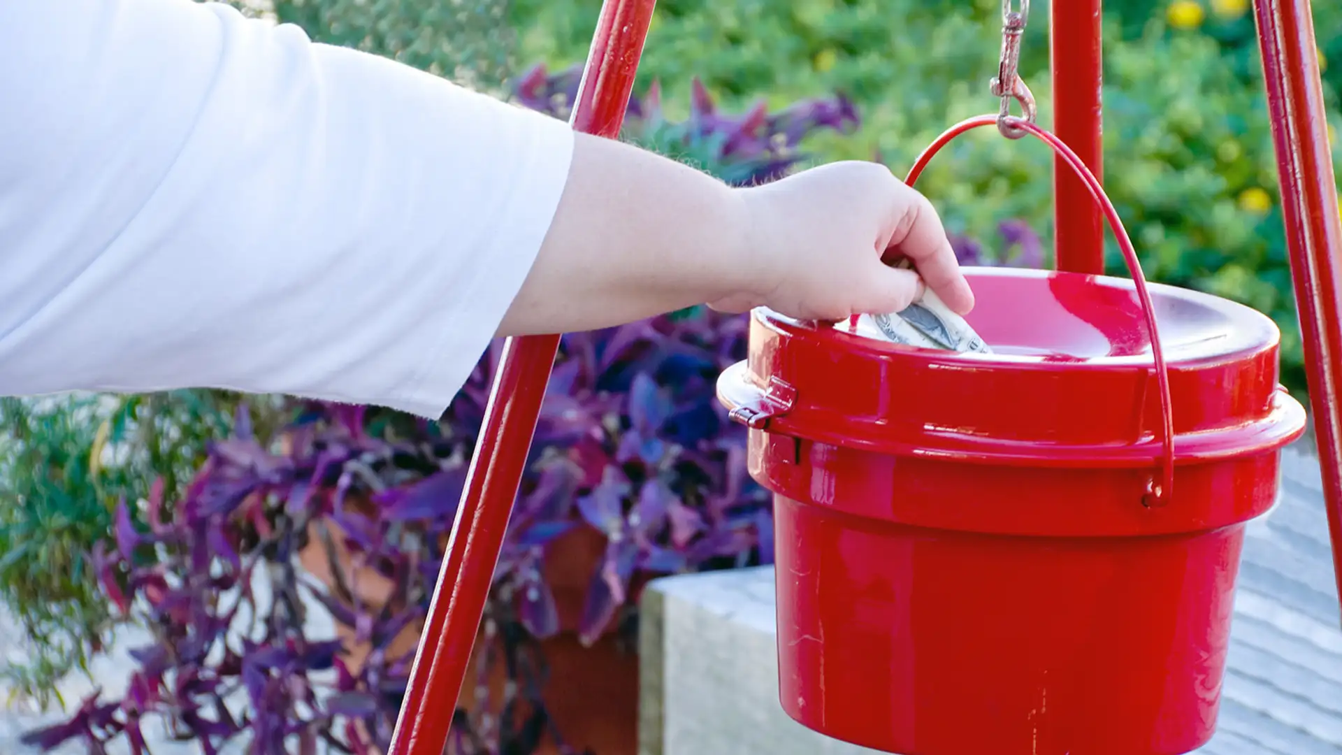 Salvation Army, Family Stories, Sanditon