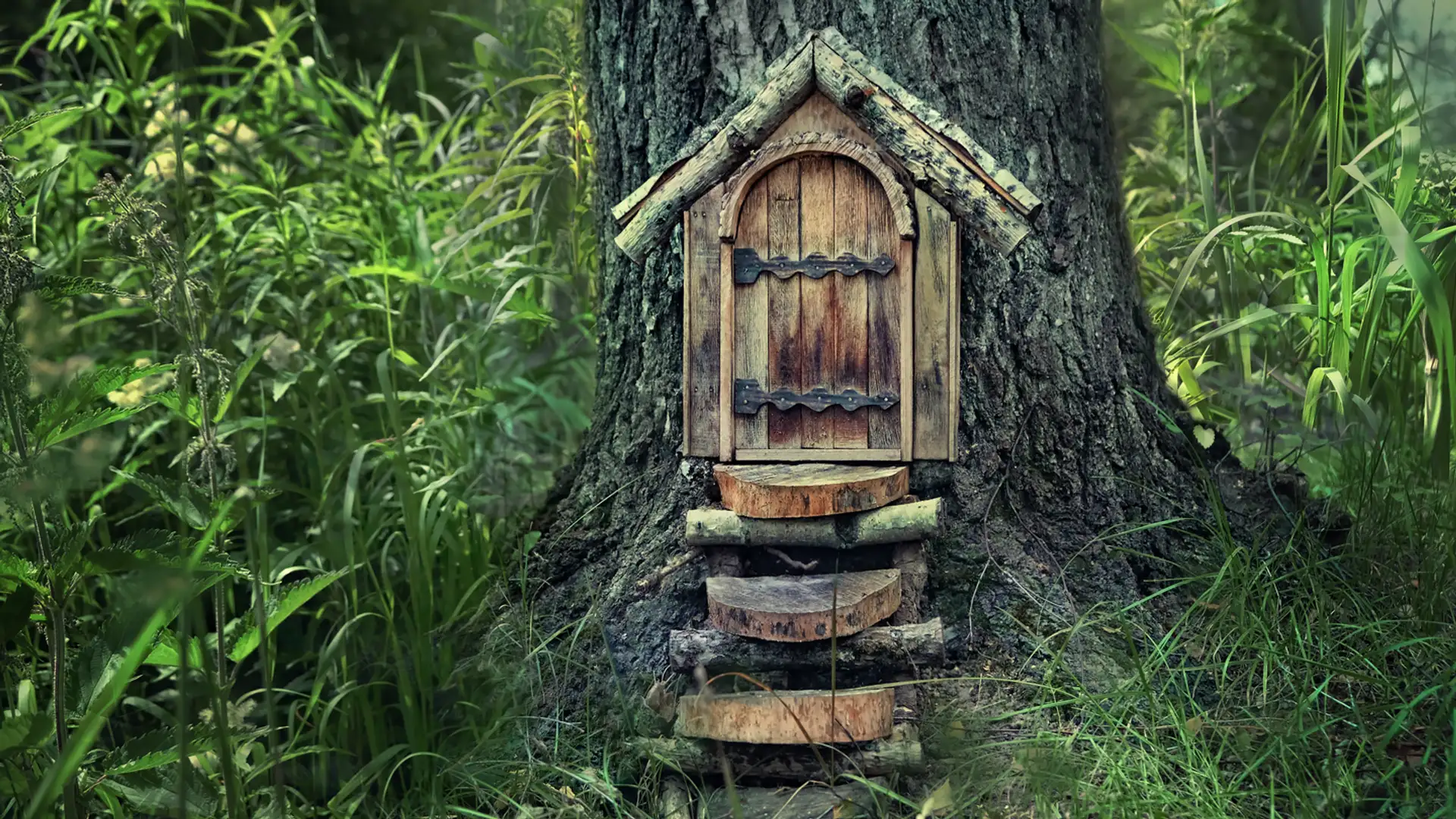 King Ruan and the Witch