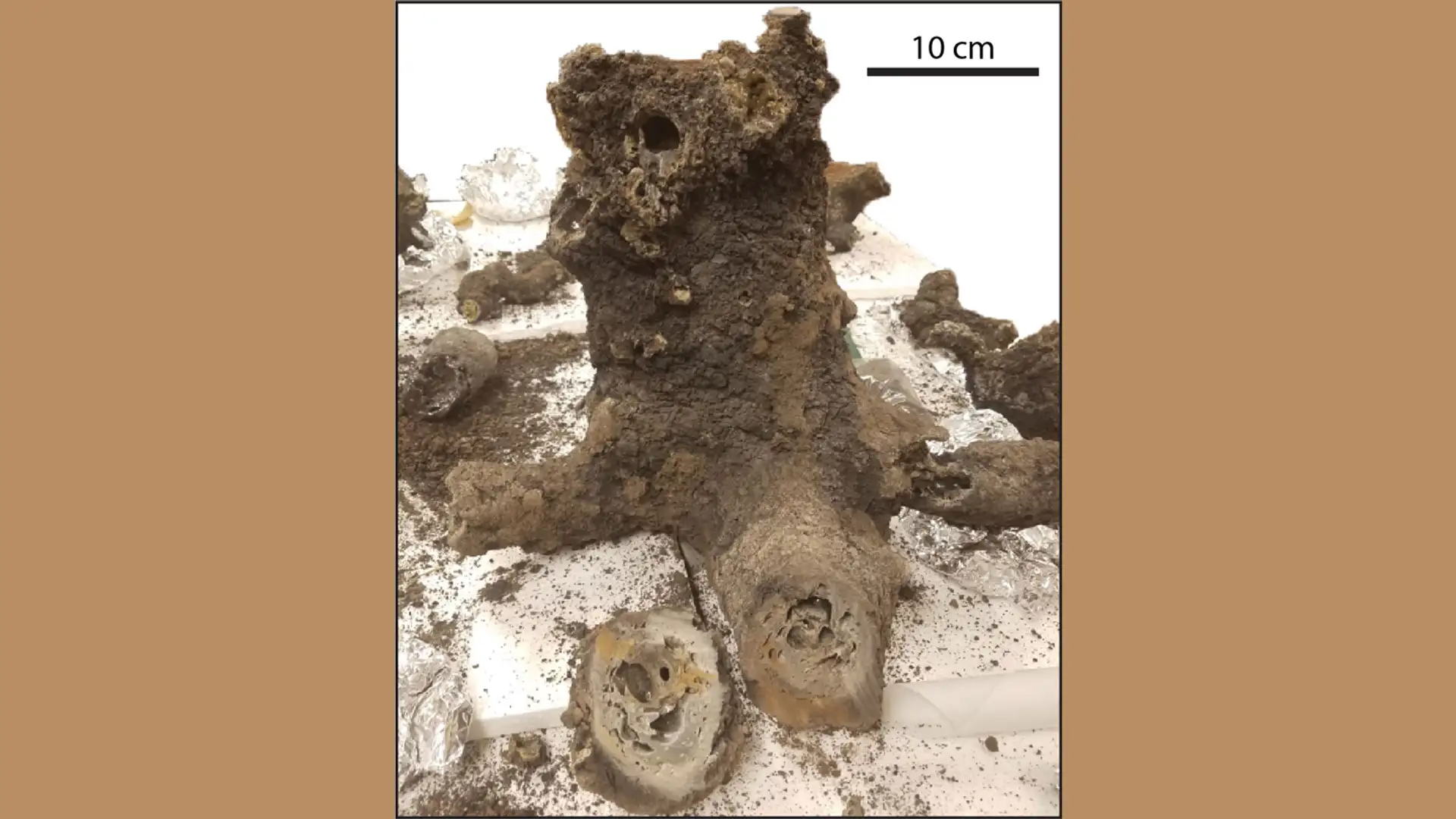 Lightning & Phosphorus