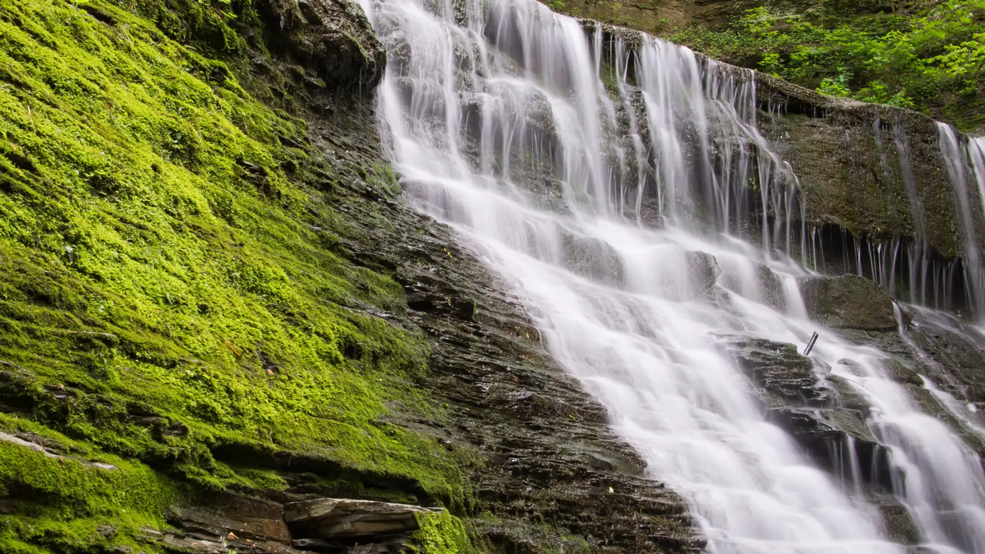 Natchez Trace Parkway