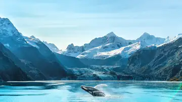Glacier Bay National Park