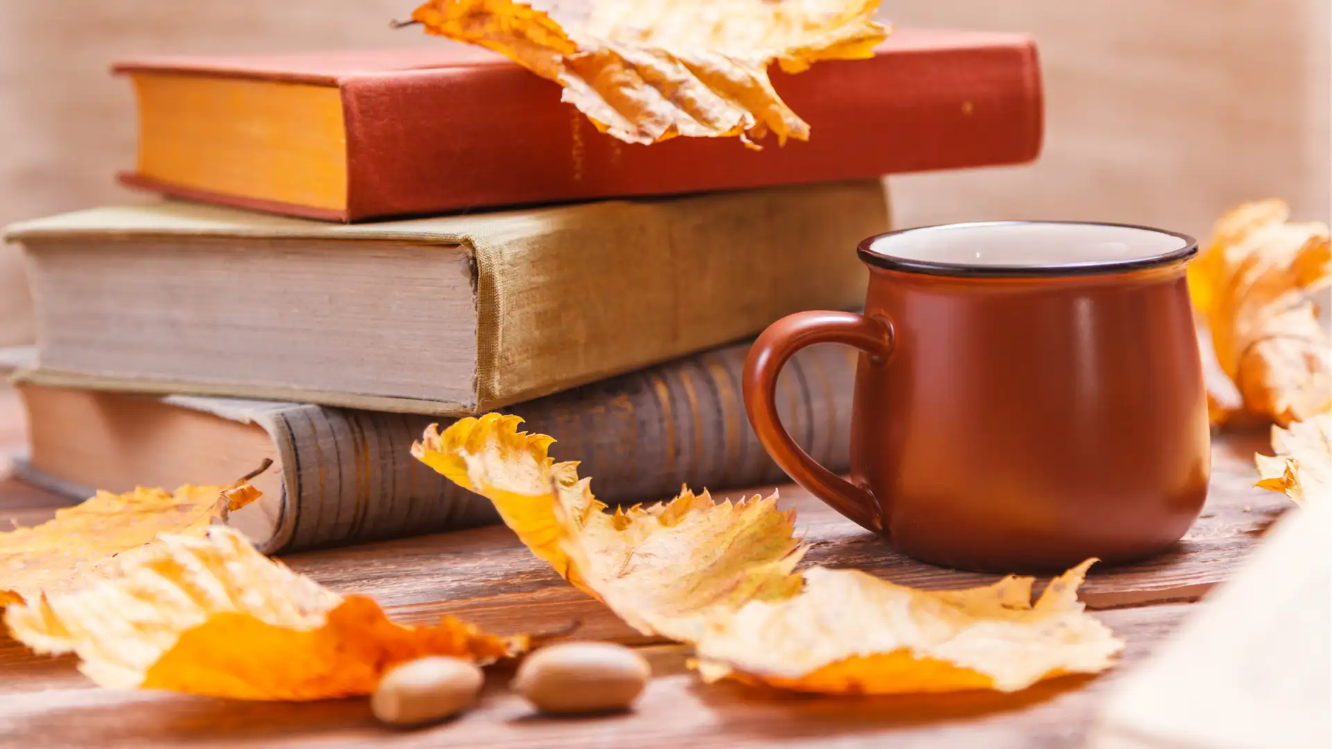 The MAGIC of BOOKS (and of THANKS-GIVING)