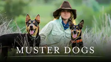Muster Dogs