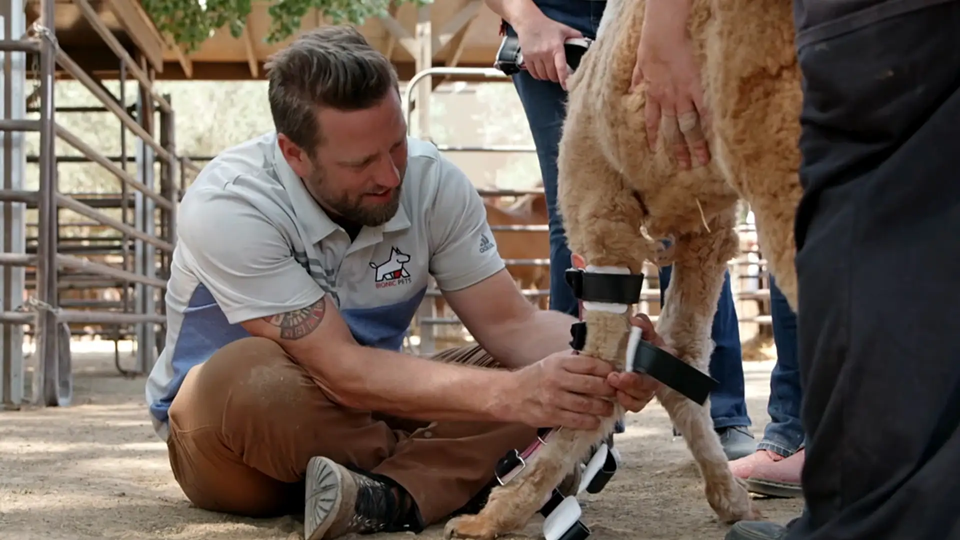 Wizard of Paws: Derrick Campana