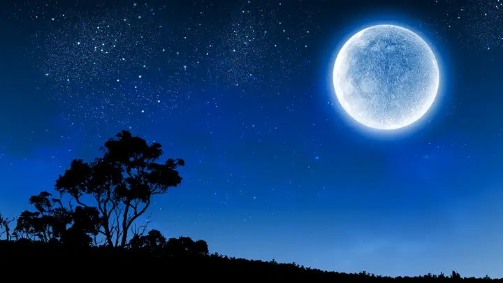 EXTRA: "Once in a Blue Moon" by Dolores Hydock