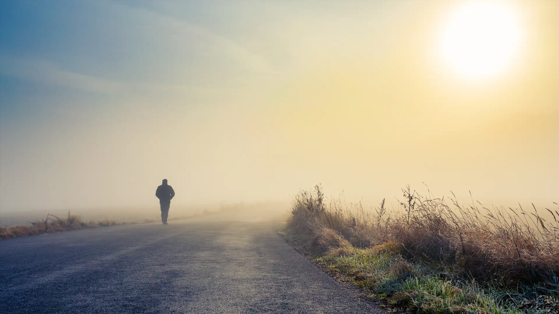 Seeking Truth and Light