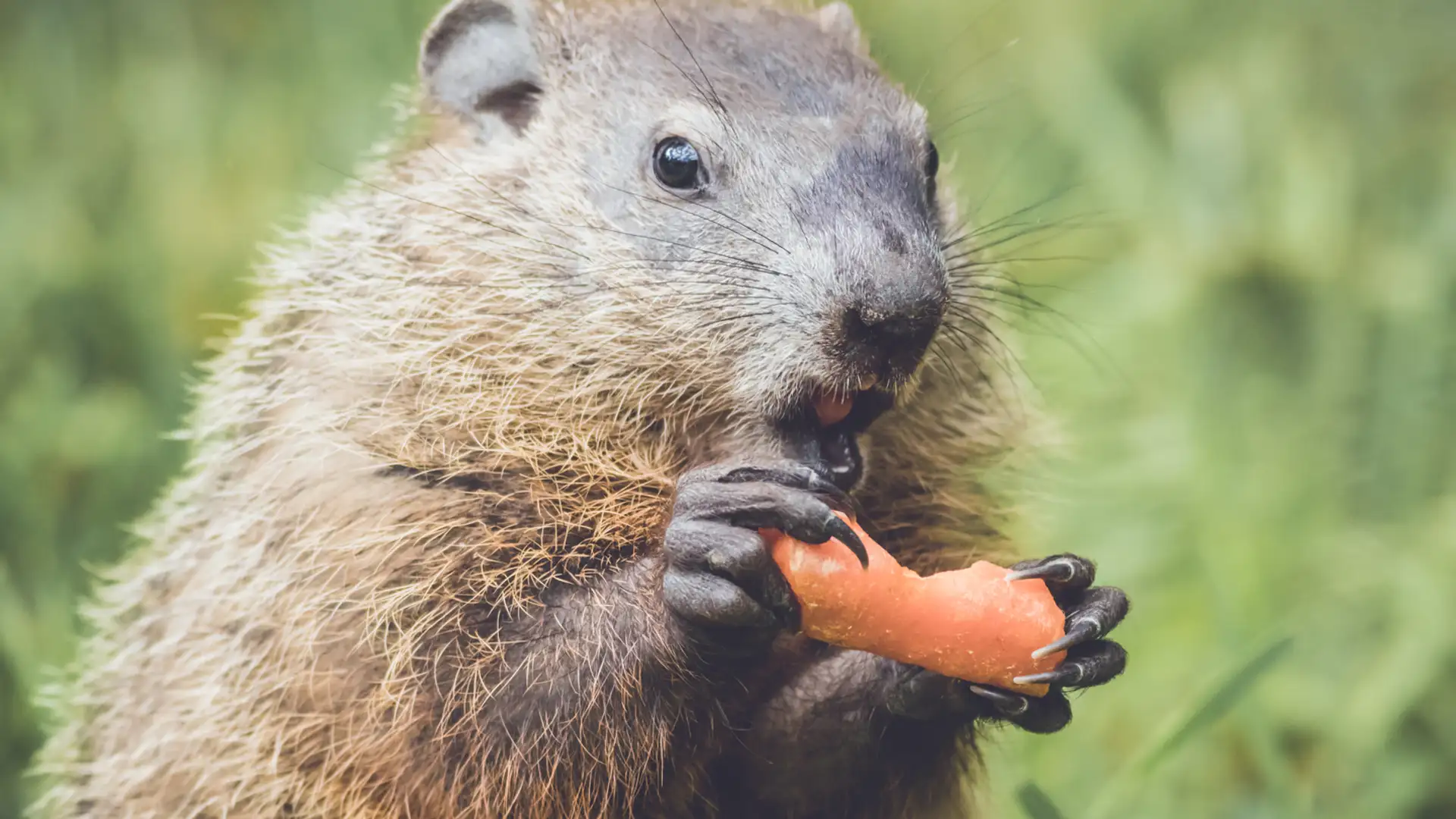 I'm Getting the Feeling We've Done This Before