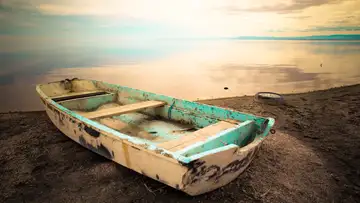Miracle in the Desert