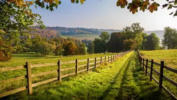 A Farmer's Journey