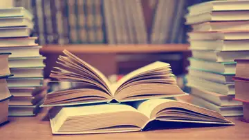 Diversity in Literature
