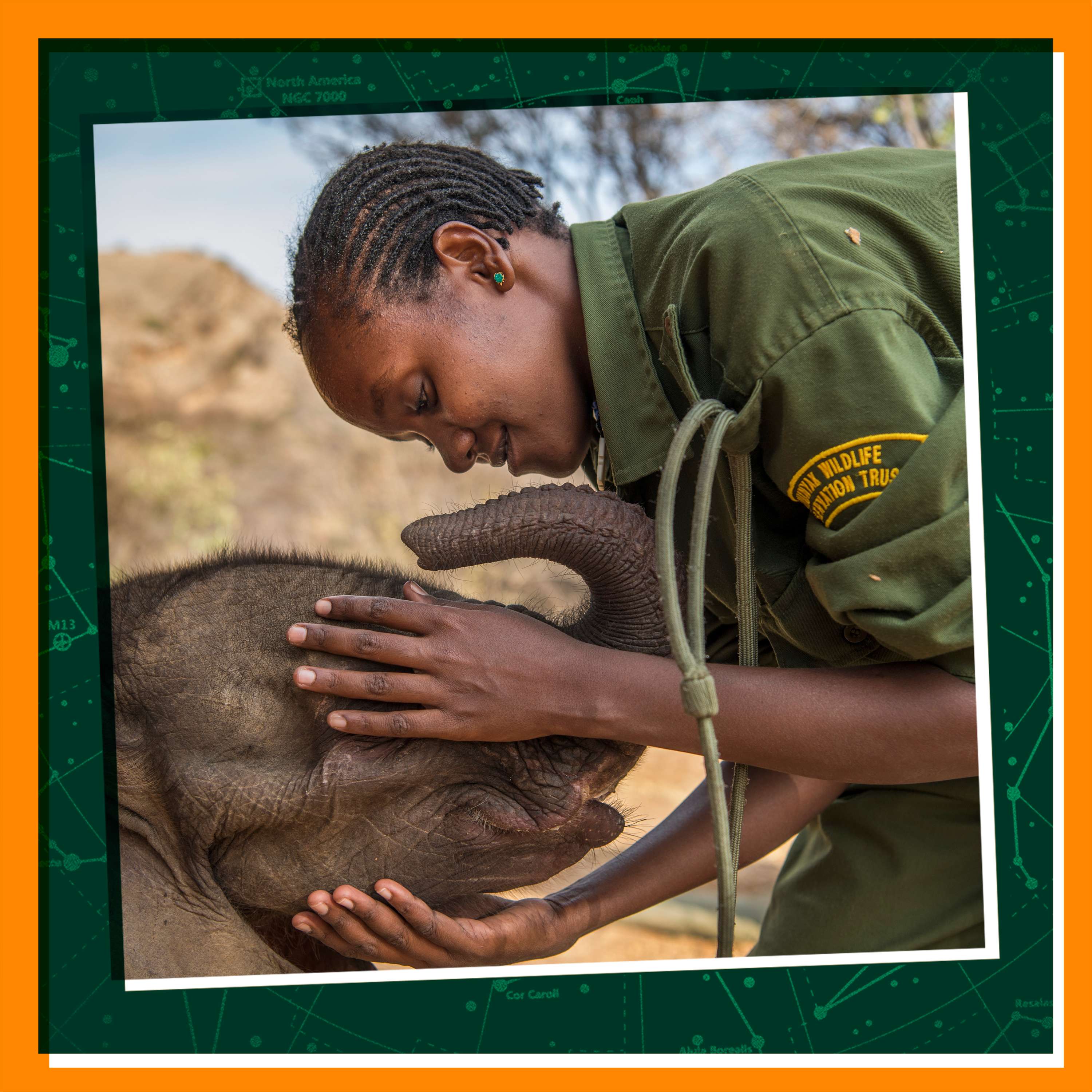 Replay: Learning from Baby Elephants