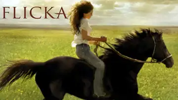 Flicka