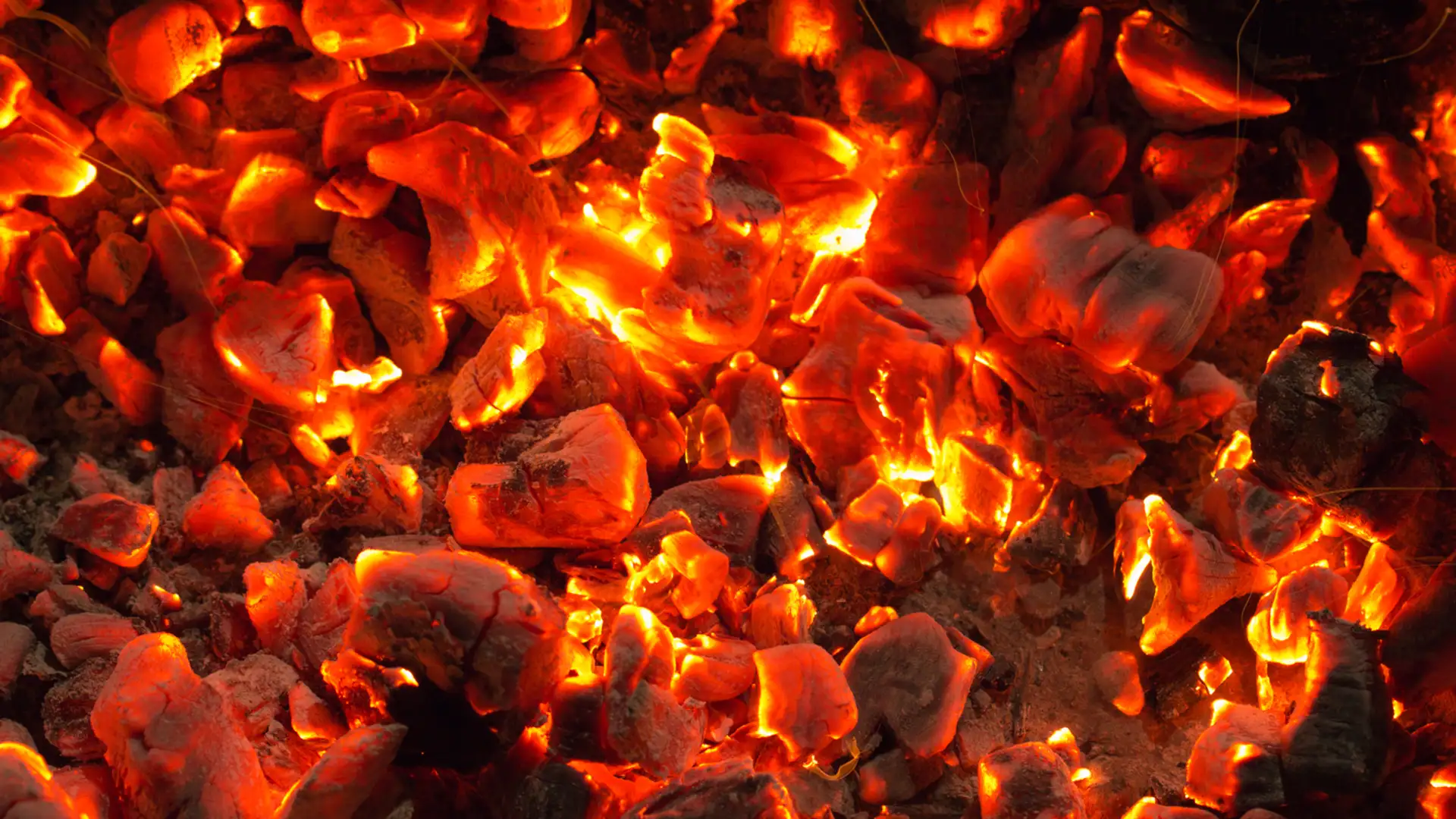 EXTRA: "The Brave Woman and the Flying Head" by Joseph Bruchac