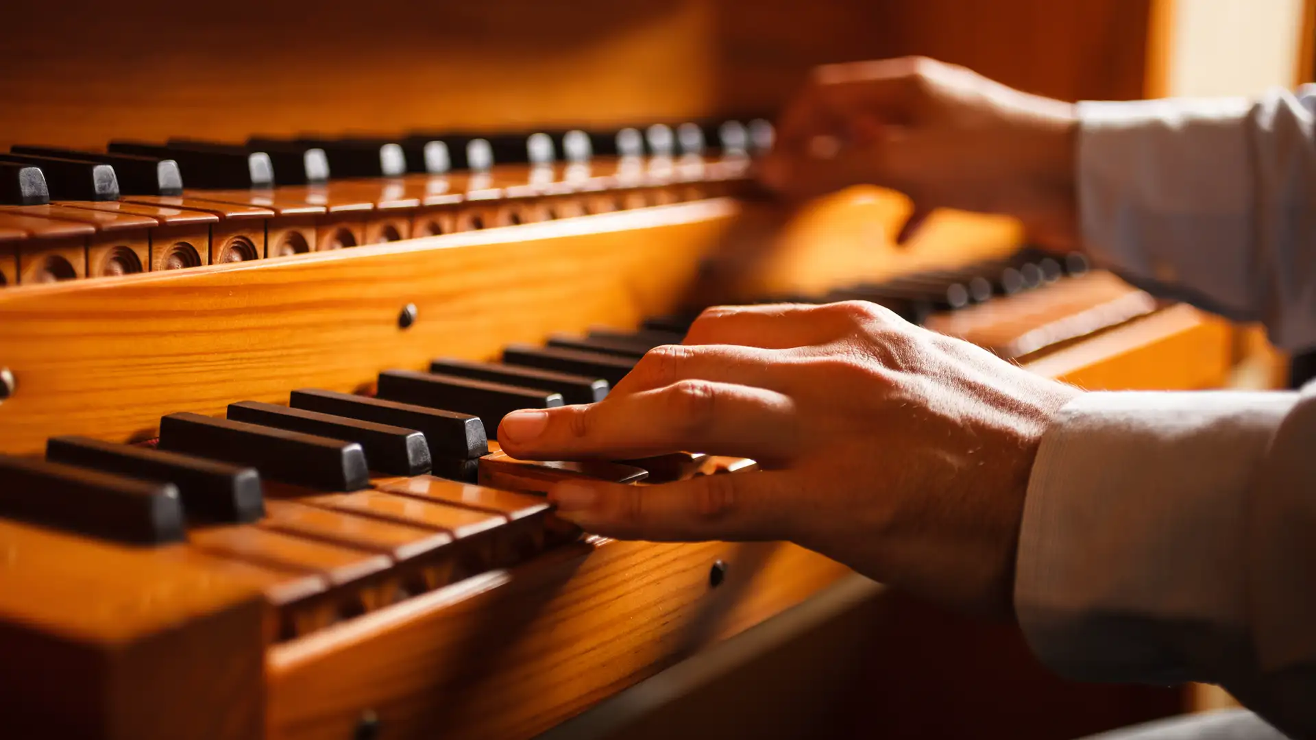 The Mighty Tudor's Biscuit World Biscuit Oven Organ by Adam Booth