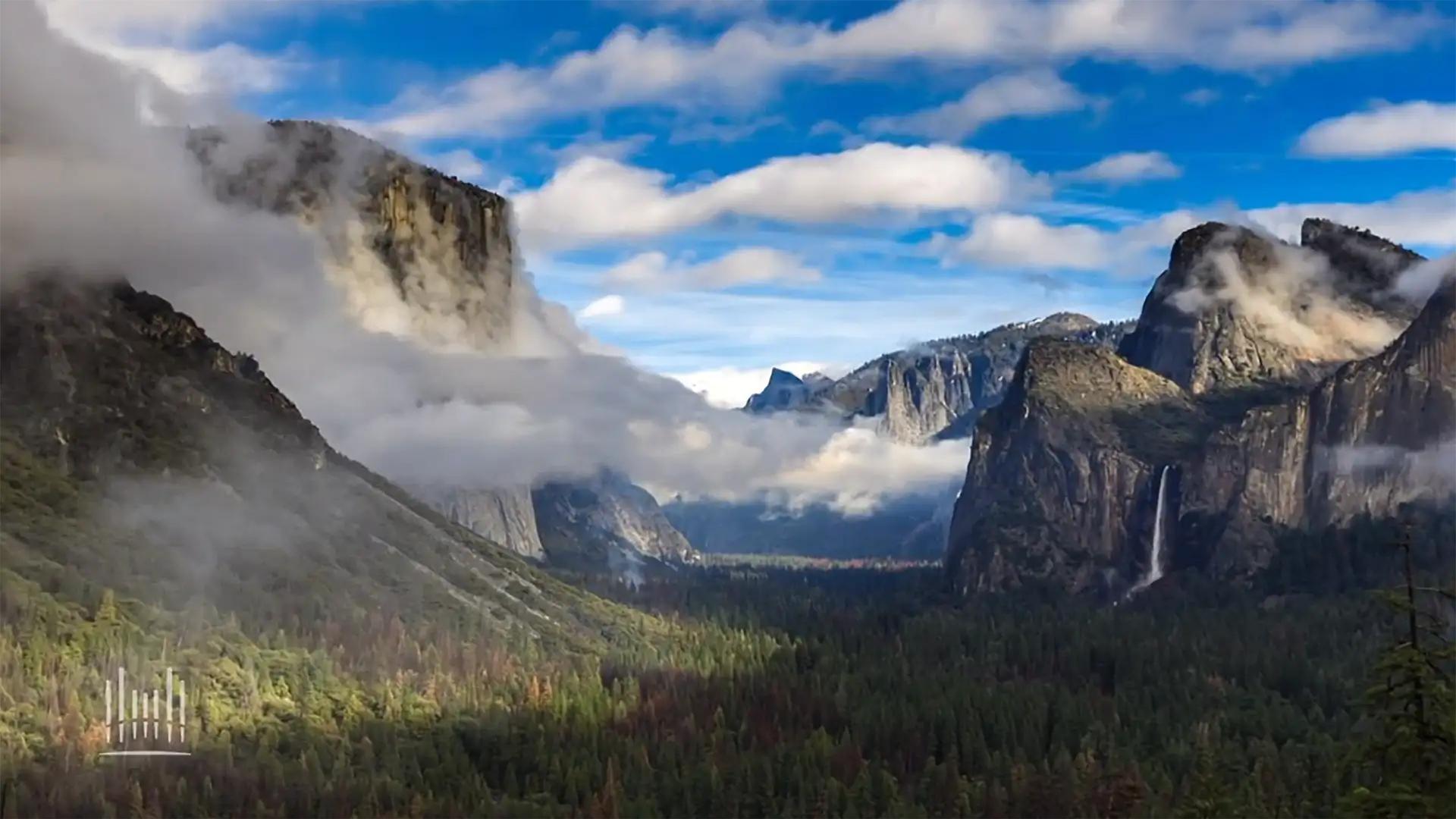 This Wonderful World