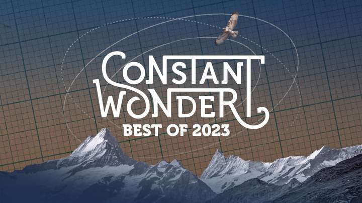Best of Constant Wonder 2023