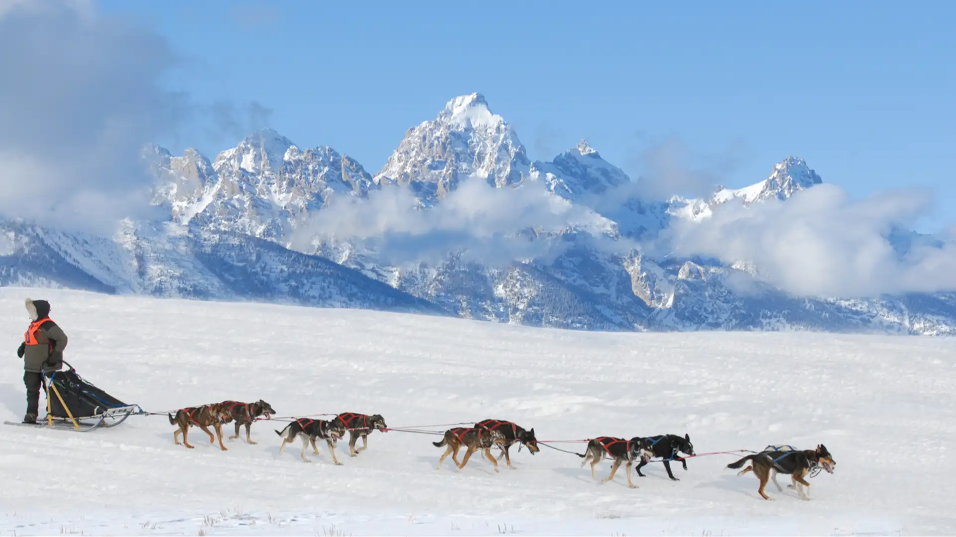 From Runway Model to Dog Race Musher