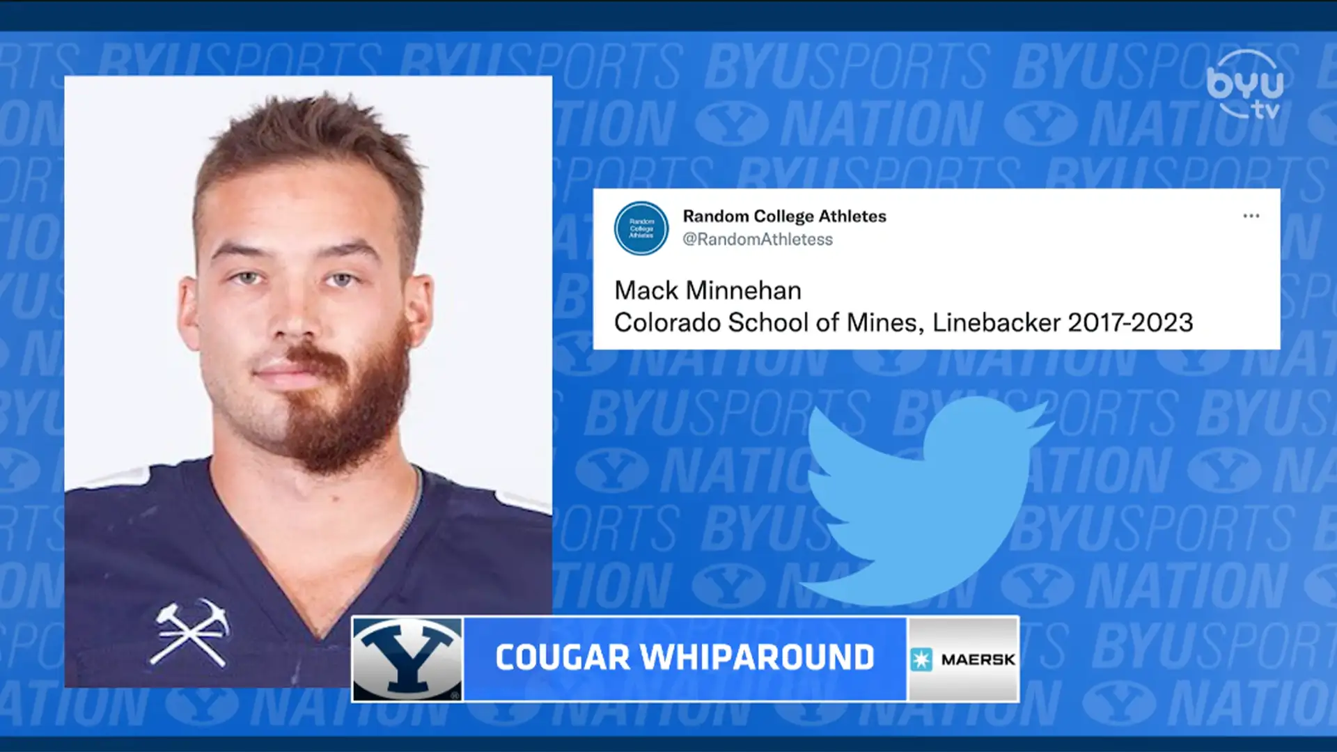 Cougar Whiparound