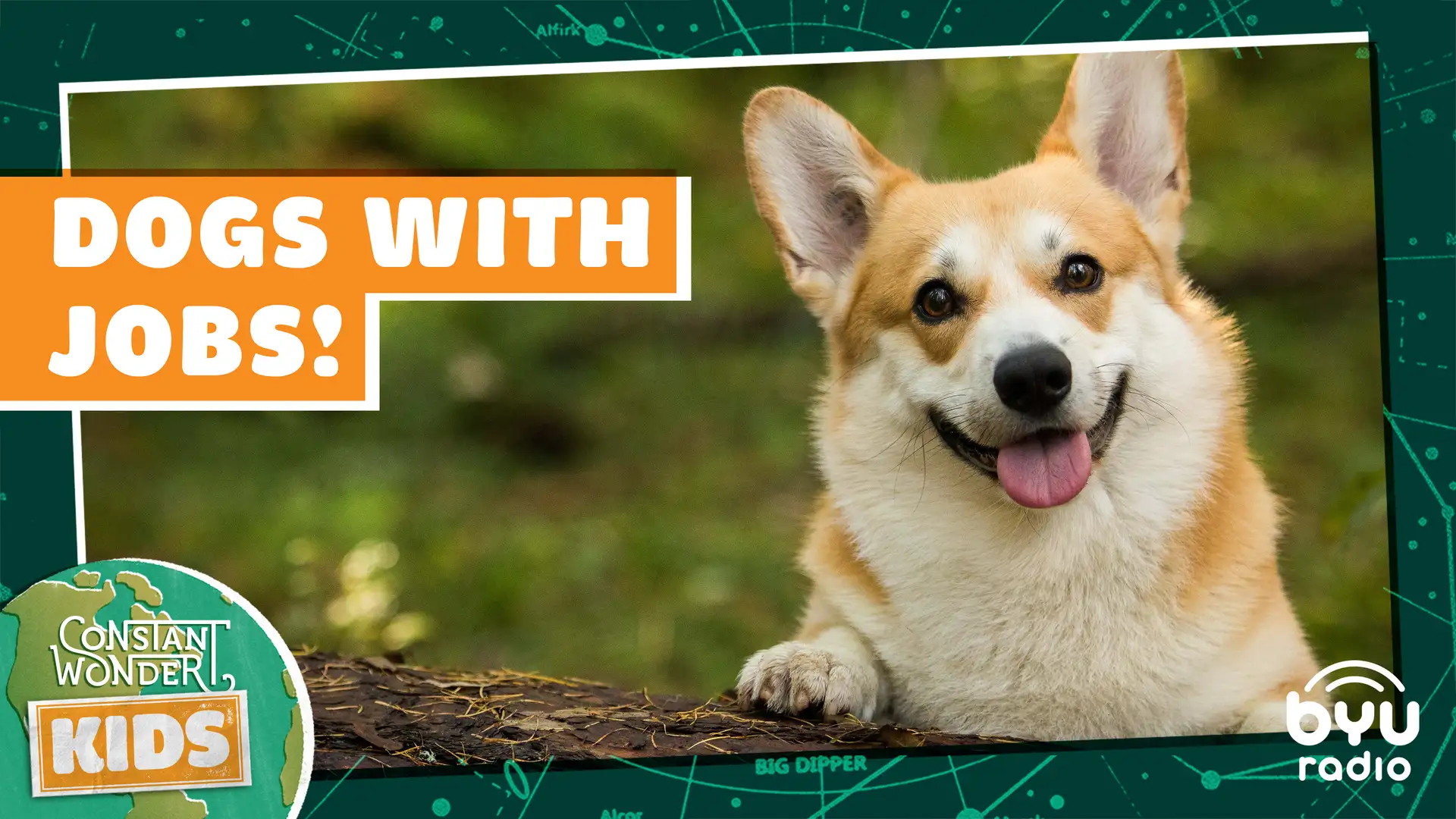 Dogs with Jobs!