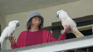 Barbara’s Birds