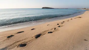 Following The Footsteps of Christ